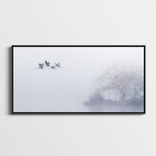 The Flight of the Common Cranes in the Morning 4 - Image 2