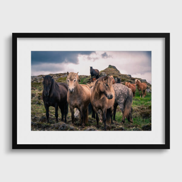 The Pride of the Highlands - Image 3
