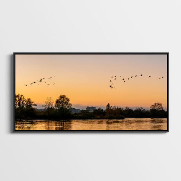 Passage of the Common Cranes 3 - Image 2