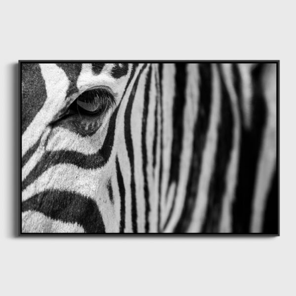 Regard Graphique Namibie Photo Sebastien Desnoulez Photographe une image pour rever caisse americaine