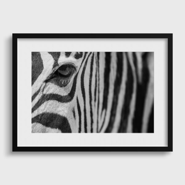 Regard Graphique Namibie Photo Sebastien Desnoulez Photographe une image pour rever passe partout
