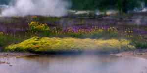 Travel - Iceland - Hot Water Spring