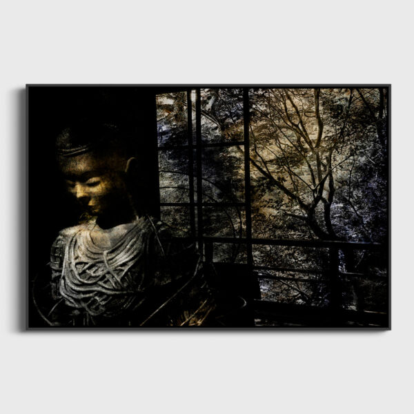 Bouddha enlace dans les branches du fromager Yves Langlois tirage Fine Art Une image pour rever caisse americaine