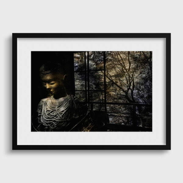 Bouddha enlace dans les branches du fromager Yves Langlois tirage Fine Art Une image pour rever passe partout