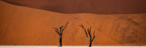 Travel - Namibia - Lines of Time