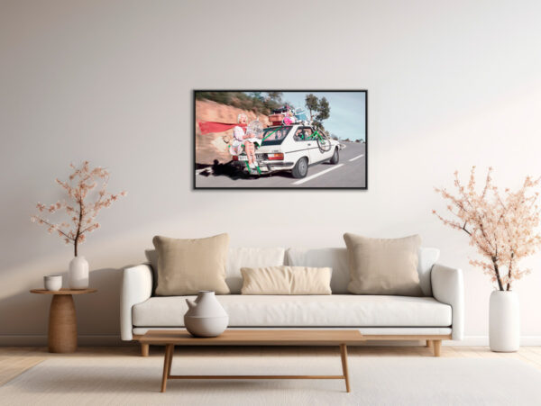 Belle maman Dingo tirage Fine Art Une image pour rever caisse americaine en situation