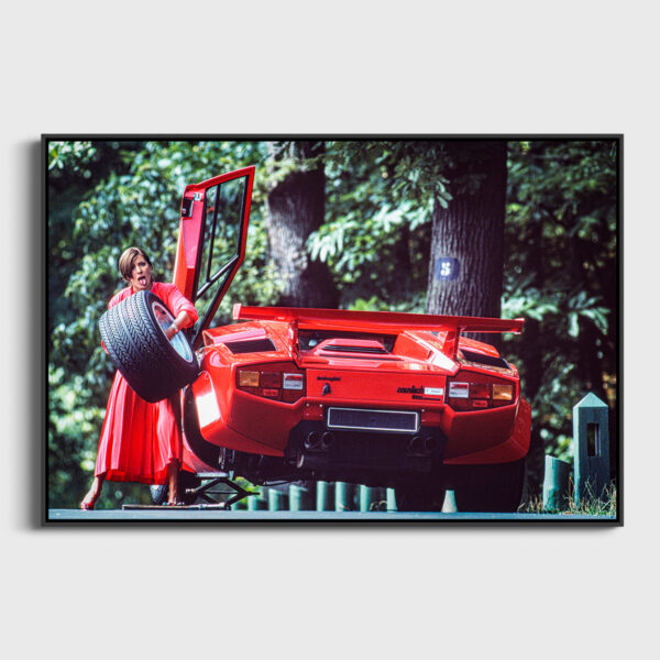Lady in red - Image 3
