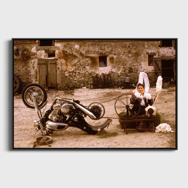 The spinning wheel - Image 3