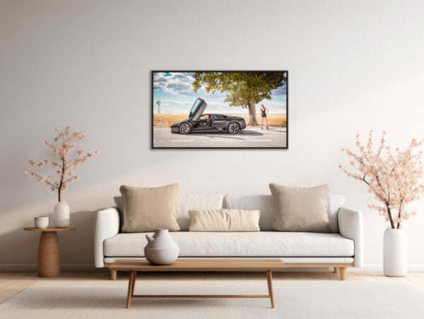 Rupture des genres Dingo tirage Fine Art Une image pour rever caisse americaine en situation