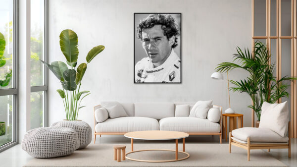 Ayrton Senna, through the eyes of a legend - Image 4