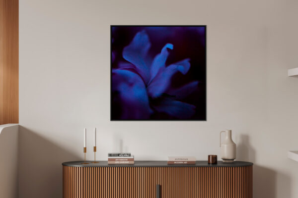 Fleur bleue 1 Eleonore Mehl tirage Fine Art Une image pour rever caisse americaine en situation