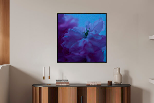 Fleur bleue 4 Eleonore Mehl tirage Fine Art Une image pour rever caisse americaine en situation