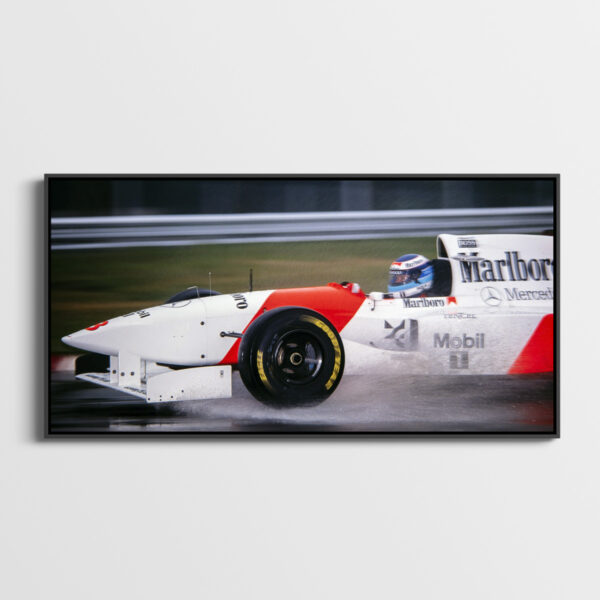 Mika Hakkinen Mac Laren GP Argentine F1 1995 Sebastien Desnoulez tirage Fine Art Une image pour rever caisse americaine