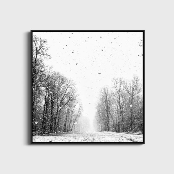 Ce jour la Eleonore Mehl  - Tirage photographique d'art - Photographie d'art - Une image pour rêver caisse americaine