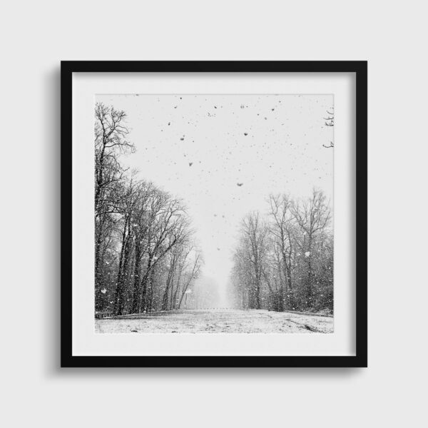 Ce jour la Eleonore Mehl  - Tirage photographique d'art - Photographie d'art - Une image pour rêver passe partout