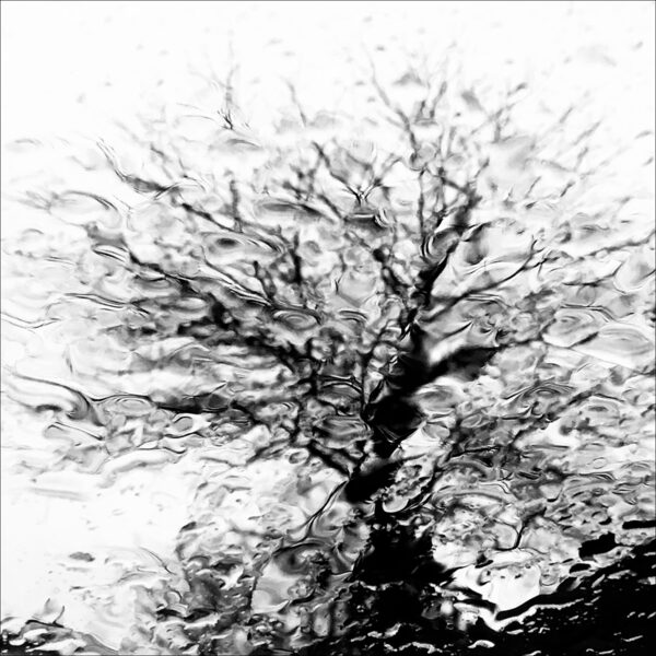 Deluge Eleonore Mehl  - Tirage photographique d'art - Photographie d'art - Une image pour rêver