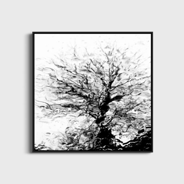 Deluge Eleonore Mehl  - Tirage photographique d'art - Photographie d'art - Une image pour rêver caisse americaine