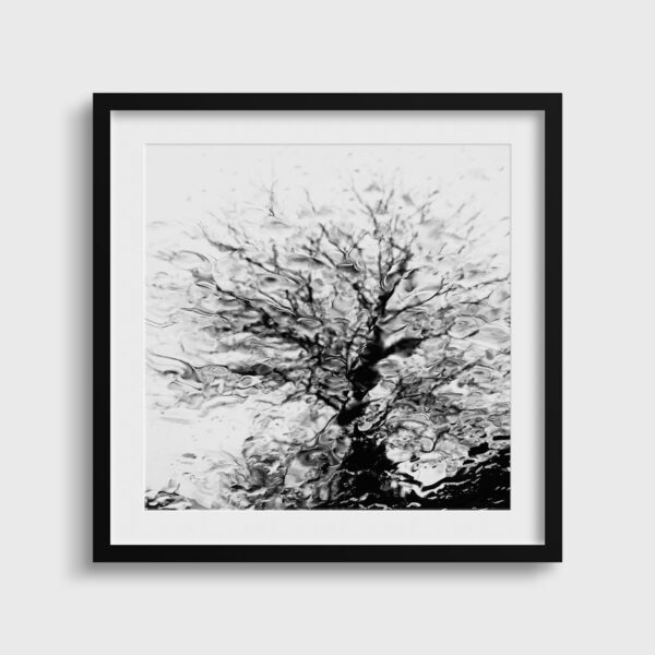Deluge Eleonore Mehl  - Tirage photographique d'art - Photographie d'art - Une image pour rêver passe partout