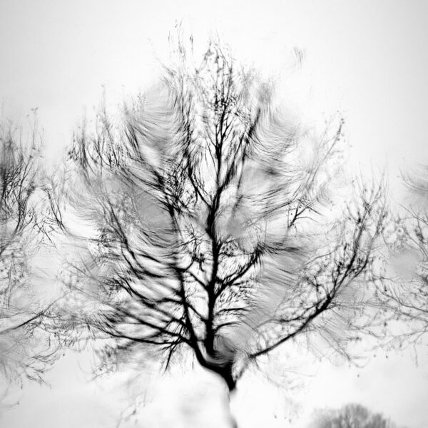 Espoir Eleonore Mehl  - Tirage photographique d'art - Photographie d'art - Une image pour rêver
