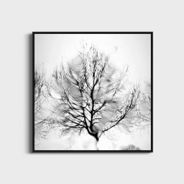 Espoir Eleonore Mehl  - Tirage photographique d'art - Photographie d'art - Une image pour rêver caisse americaine