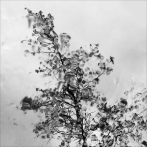 Fantaisie Eleonore Mehl  - Tirage photographique d'art - Photographie d'art - Une image pour rêver