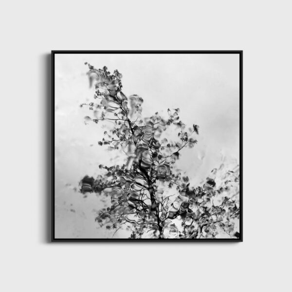 Fantaisie Eleonore Mehl  - Tirage photographique d'art - Photographie d'art - Une image pour rêver caisse americaine
