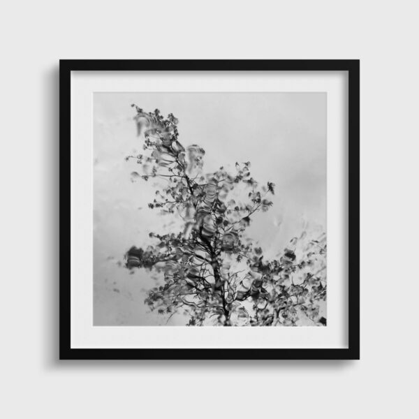 Fantaisie Eleonore Mehl  - Tirage photographique d'art - Photographie d'art - Une image pour rêver passe partout