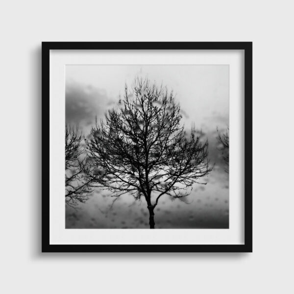 Hasard Eleonore Mehl  - Tirage photographique d'art - Photographie d'art - Une image pour rêver passe partout