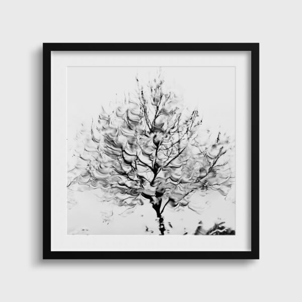Swell - Image 2