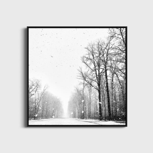 Il etait une fois Eleonore Mehl  - Tirage photographique d'art - Photographie d'art - Une image pour rêver caisse americaine