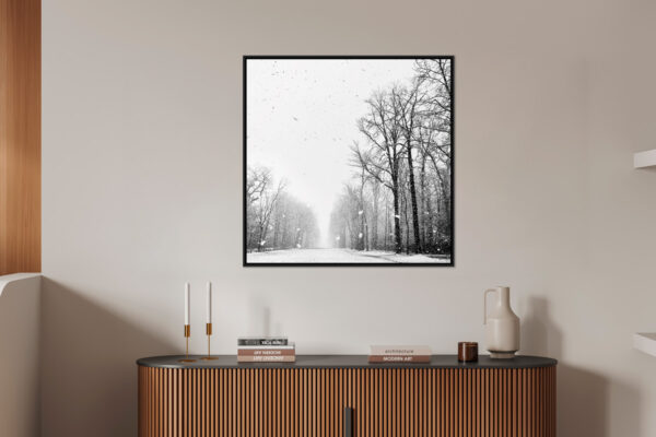 Il etait une fois Eleonore Mehl  - Tirage photographique d'art - Photographie d'art - Une image pour rêver caisse americaine en situation