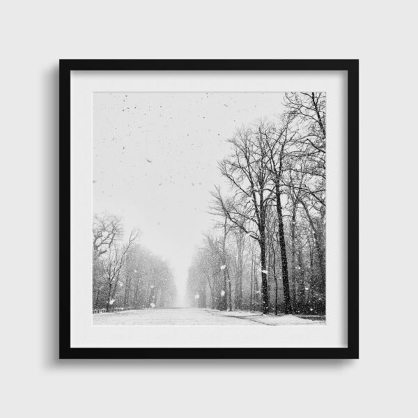 Il etait une fois Eleonore Mehl  - Tirage photographique d'art - Photographie d'art - Une image pour rêver passe partout