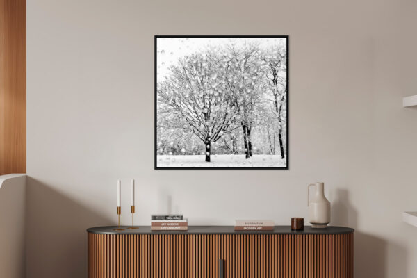 Jardin d hiver Eleonore Mehl  - Tirage photographique d'art - Photographie d'art - Une image pour rêver caisse americaine en situation