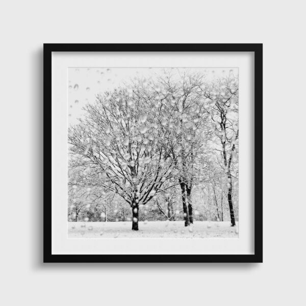 Jardin d hiver Eleonore Mehl  - Tirage photographique d'art - Photographie d'art - Une image pour rêver passe partout