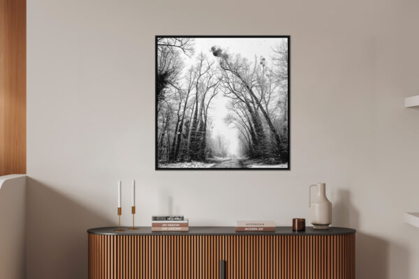 Juste la foret et toi Eleonore Mehl  - Tirage photographique d'art - Photographie d'art - Une image pour rêver caisse americaine en situation