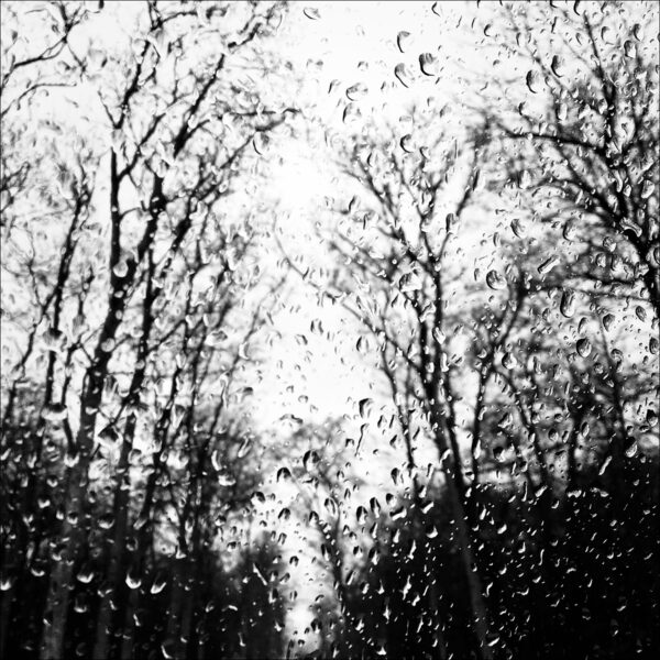 The park