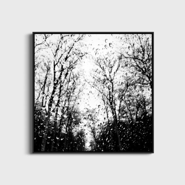 The park - Image 3