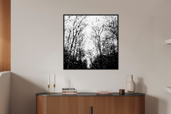 The park - Image 4