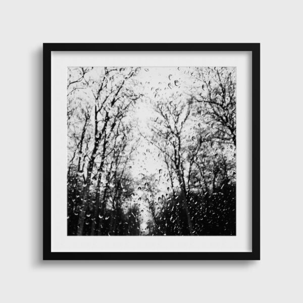 The park - Image 2