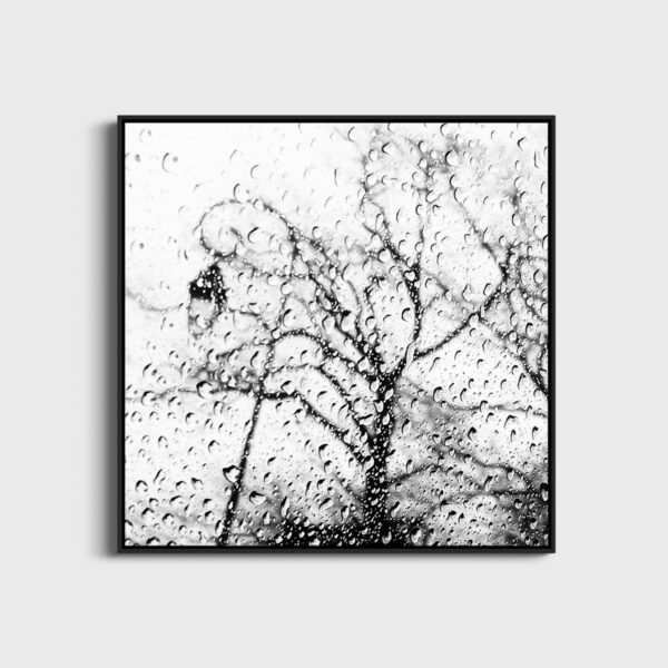 Le Reverbere Eleonore Mehl  - Tirage photographique d'art - Photographie d'art - Une image pour rêver caisse americaine