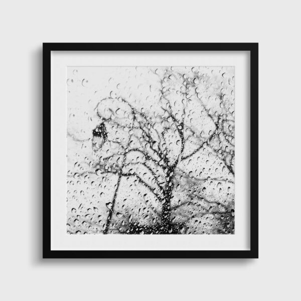 Le Reverbere Eleonore Mehl  - Tirage photographique d'art - Photographie d'art - Une image pour rêver passe partout