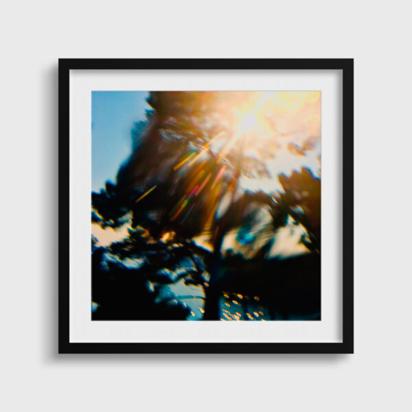 Le liouquet Eleonore Mehl  - Tirage photographique d'art - Photographie d'art - Une image pour rêver passe partout