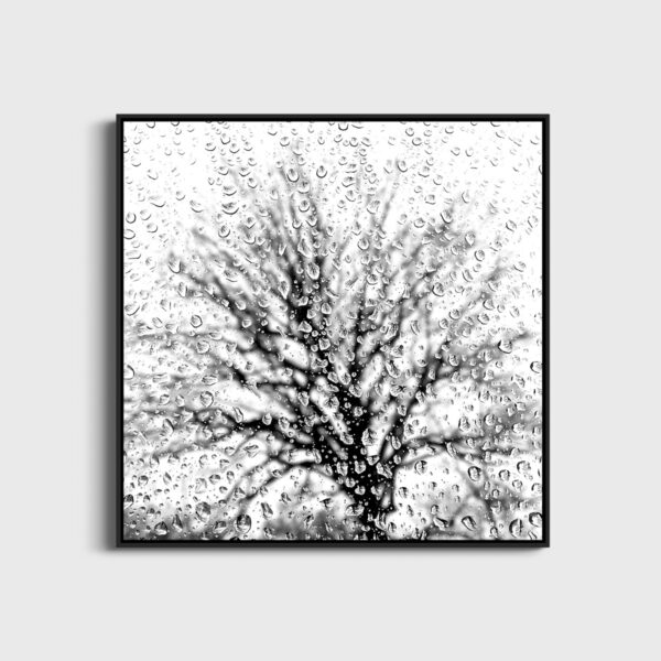 Mirrors - Image 3