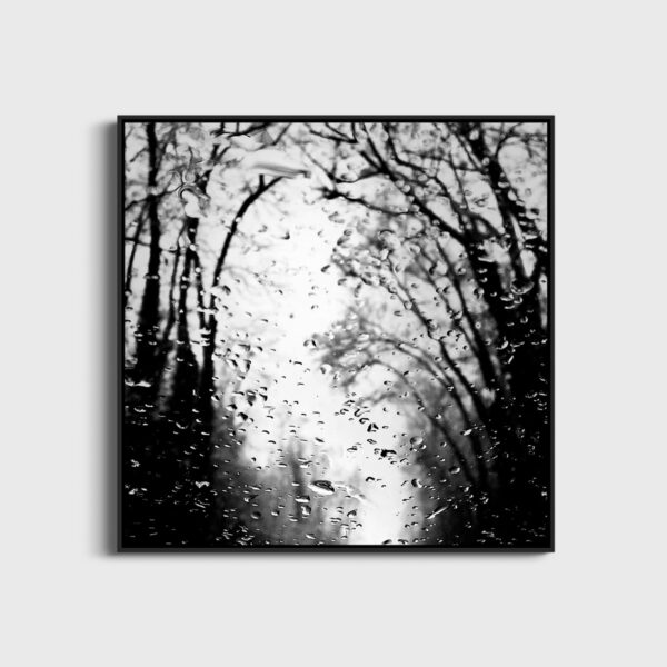 Edge - Image 3