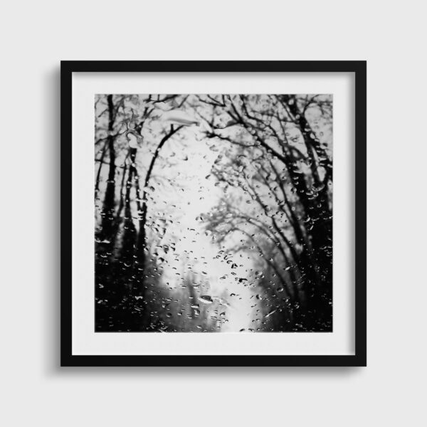 Edge - Image 2