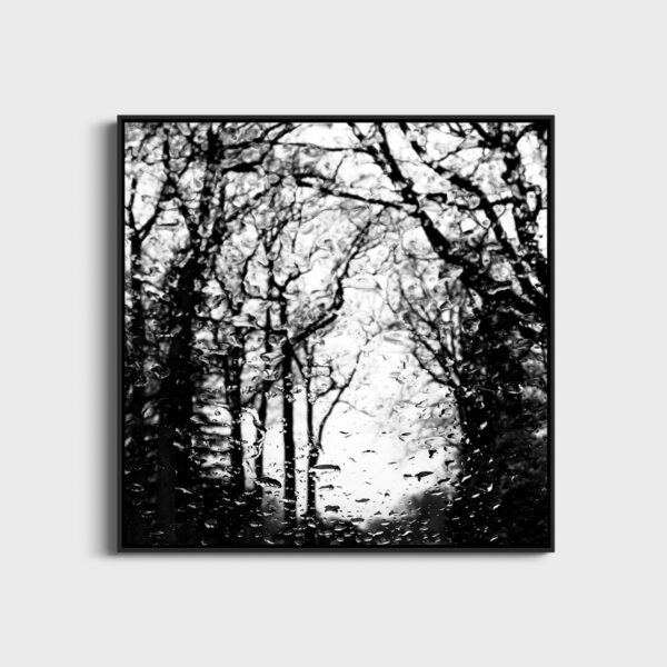 Serenite Eleonore Mehl  - Tirage photographique d'art - Photographie d'art - Une image pour rêver caisse americaine