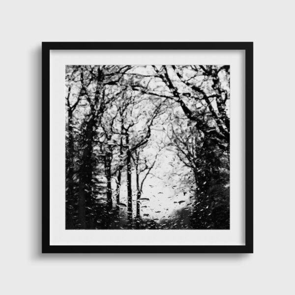 Serenite Eleonore Mehl  - Tirage photographique d'art - Photographie d'art - Une image pour rêver passe partout