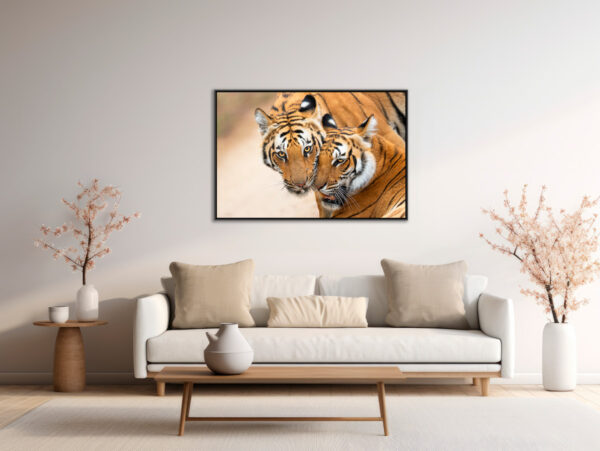 Tendresse feline Lionel Maye tirage Fine Art Une image pour rever caisse americaine
