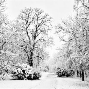 Tout de blanc Eleonore Mehl  - Tirage photographique d'art - Photographie d'art - Une image pour rêver