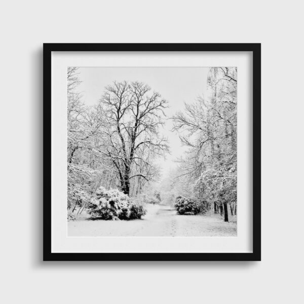 All in white - Image 2
